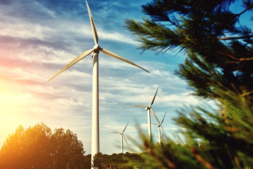 wind turbine in nature